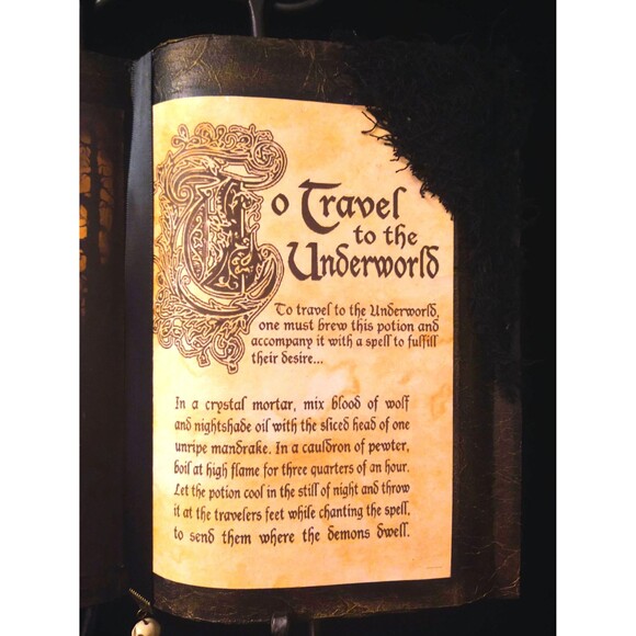 To TRAVEL To The UNDERWORLD Spells SpellBook Spooky Witch Gothic Decor - Picture 3 of 5